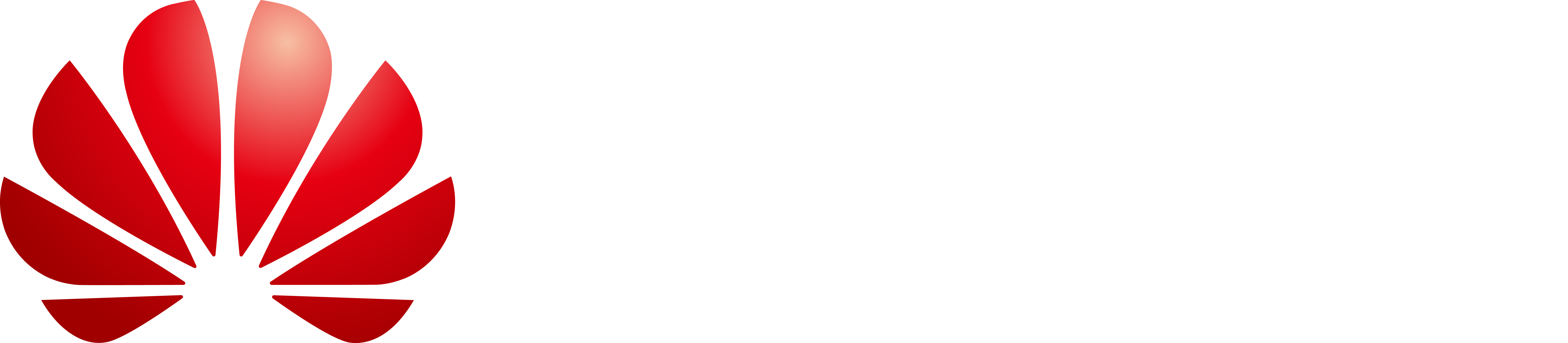 Huawei Logo